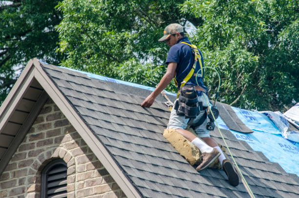Best Gutter Installation and Roofing  in Mount Wolf, PA